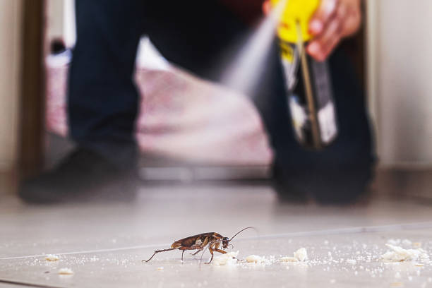 Best Cockroach Control Services  in Bargaintown, NJ